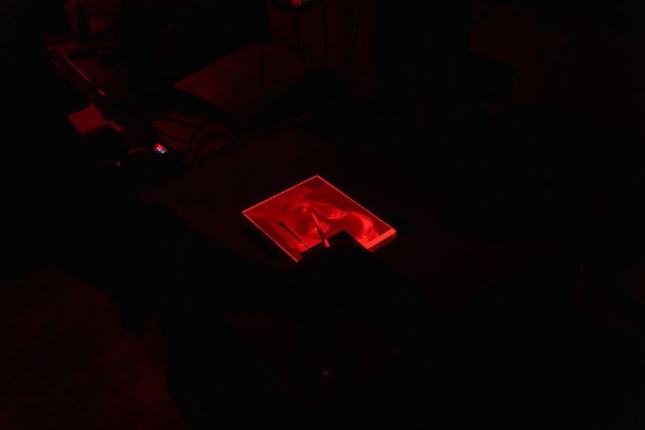 Zakaj fotografije ne smejo ostati le v telefonu
